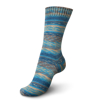 Regia Office Color 4ply mezgimo siūlai kojinėms
