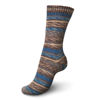 Regia Office Color 4ply mezgimo siūlai kojinėms