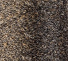 Picture of ITO Kin Gin